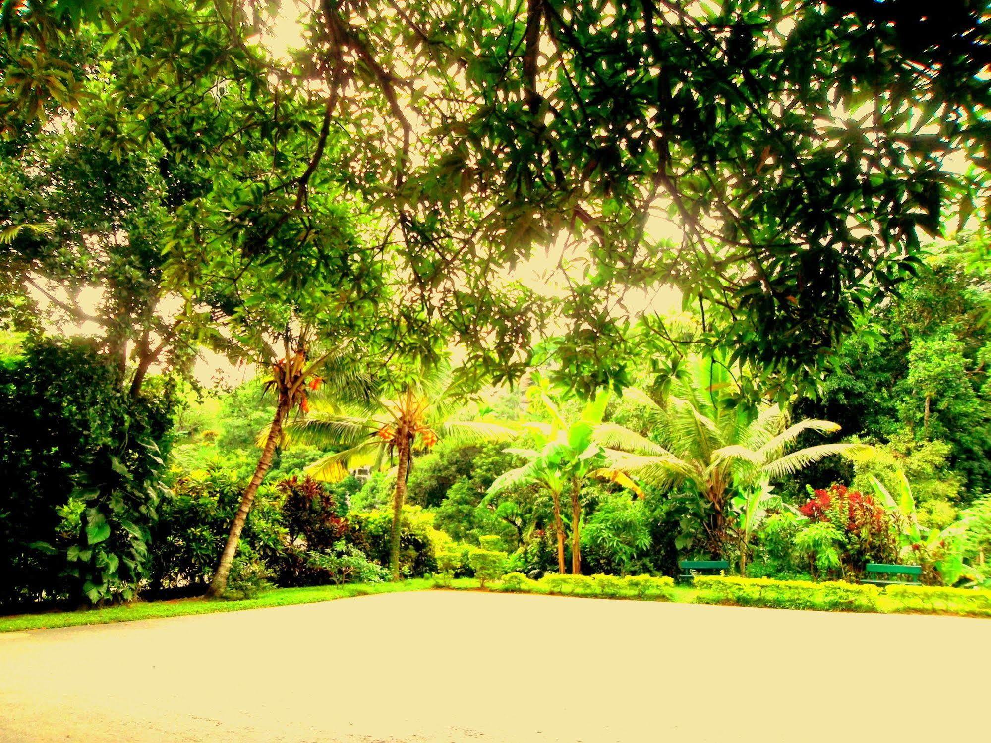 Oyo 433 Paradise Resort Kandy Extérieur photo