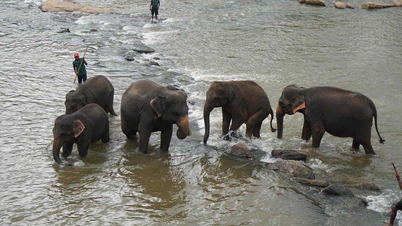 Oyo 433 Paradise Resort Kandy Extérieur photo